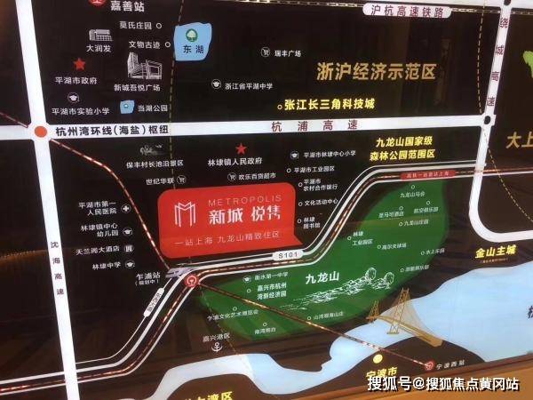 局势最新动态解析，深入解读某某观点