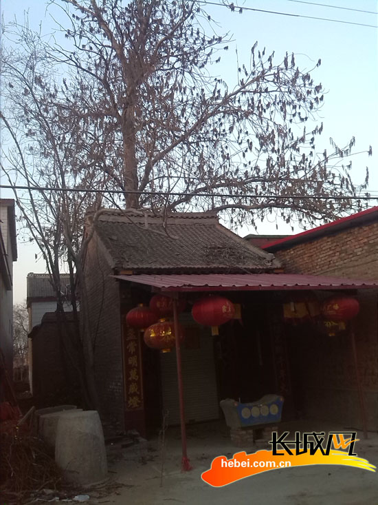 时代变迁中的小庙，最新新闻与见证历史的重要瞬间