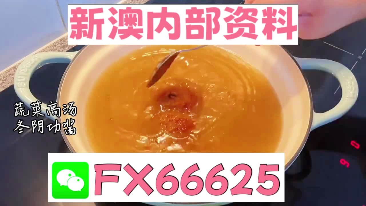 澳门期期准正版免费资料,持续改进策略_VPZ85.810旗舰版