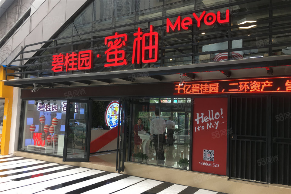 碧桂园蜜柚最新动态报道速递🍊