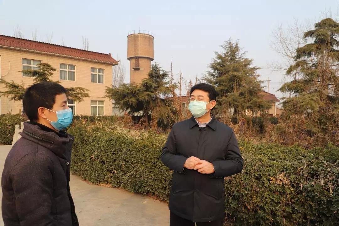 邯郸生猪最新价格揭秘，探寻独特小店，发现惊喜价格！