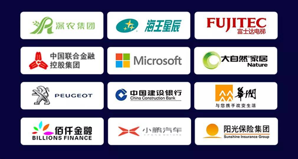 最新选票统计揭示选举结果及未来趋势洞悉