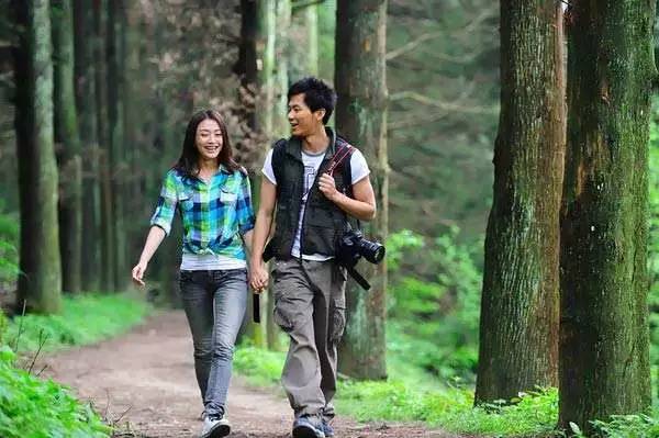 电视剧台词中的自然美景之旅，探寻内心平和与喜悦的旅程