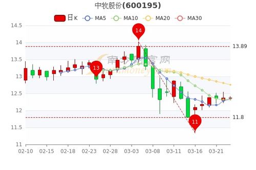 工程鉴定 第255页