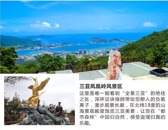 青阳最新资讯，拥抱自然，探寻内心平静的旅行之旅
