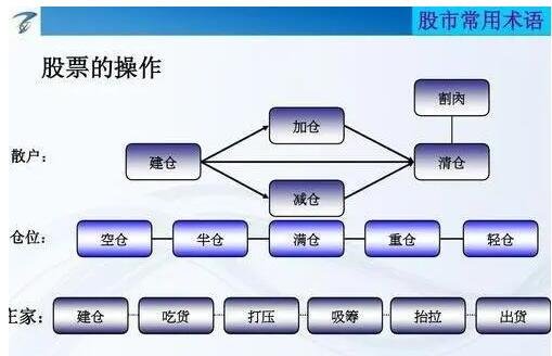 Wind股票投资入门与进阶指南