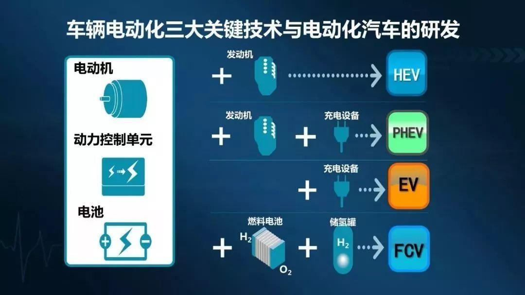 新卡罗拉全面革新上市，市场竞争下的双向解读