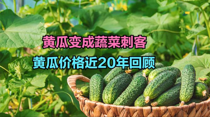 工程鉴定 第233页