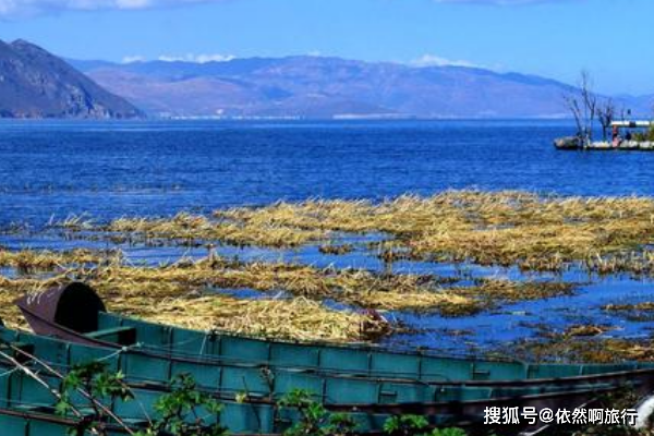 最新毛皮价格探索之旅，自然美景与内心宁静的追寻