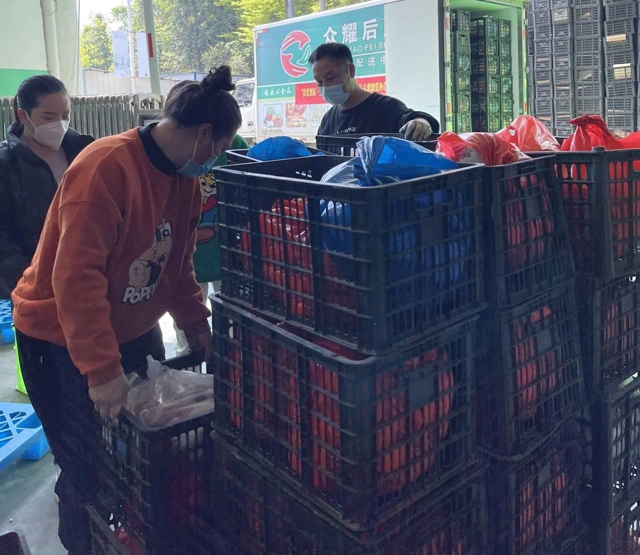 内蒙古最新疫情动态及巷弄深处的独特风情与隐藏瑰宝揭秘