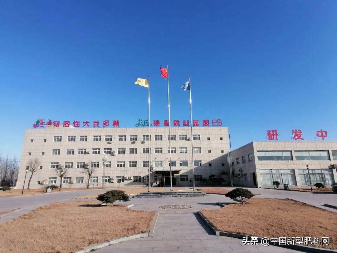 丰源股票行情深度分析与走势预测