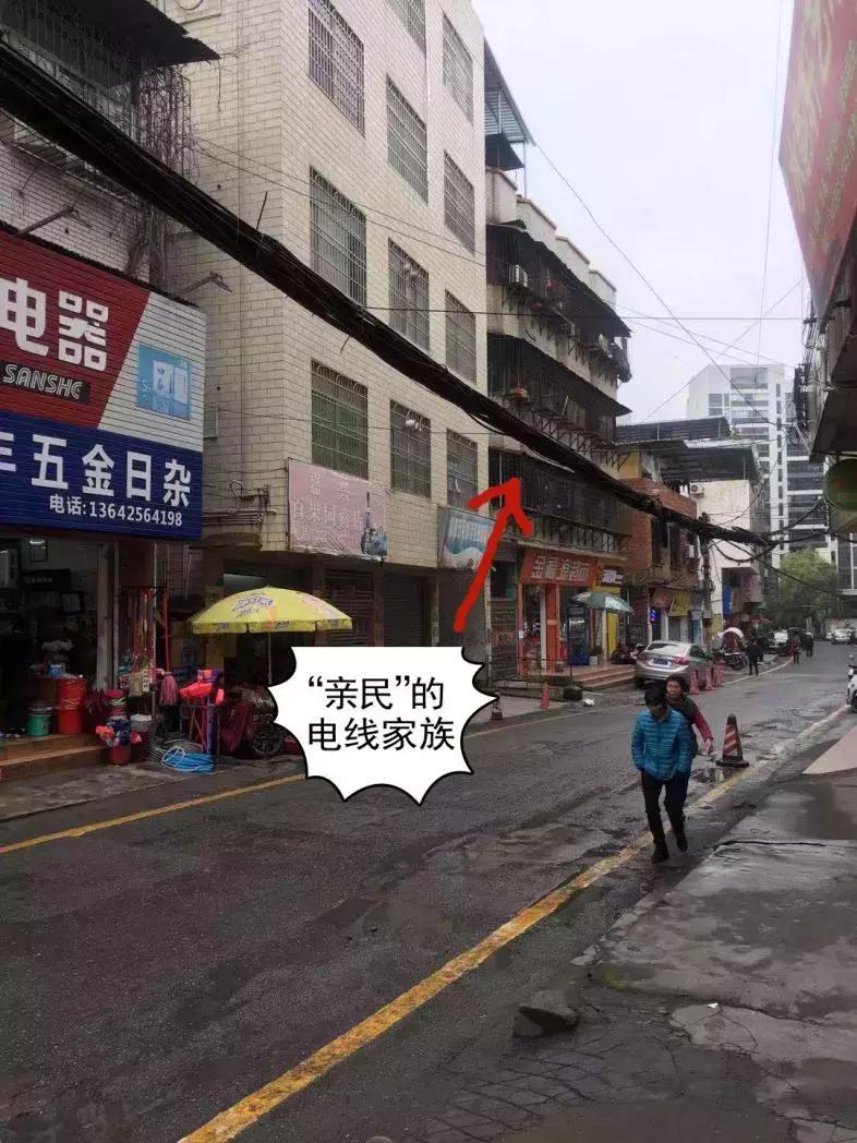 蜘蛛比赛，小巷深处的未知奇遇之旅