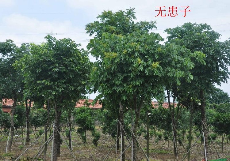 结构加固设计 第183页