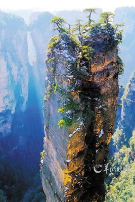 七次郎最新在线视频，自然之旅探寻内心平和