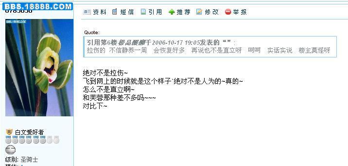 ww884aa最新地址，友情乐园的日常趣事探秘