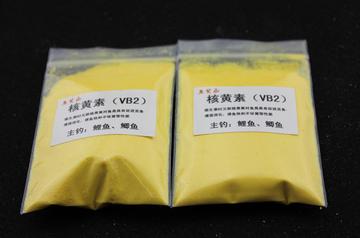 VB2最新出厂价详解，步骤指南与价格公布
