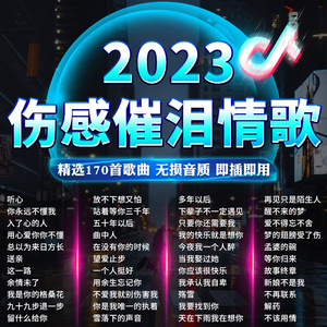 2025年最新伤感情歌，流行旋律中的情感涟漪