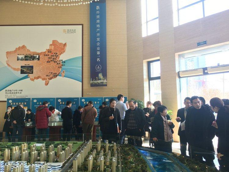 丽都名邸洛阳最新动态，购房指南与技能学习全解析