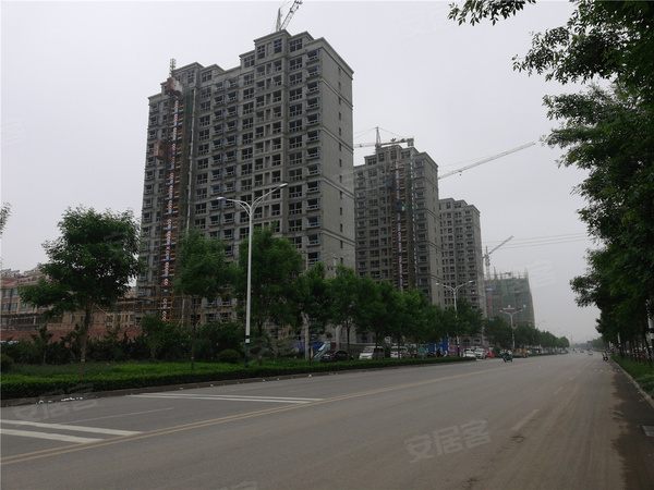 安丘青云瑞景最新动态，邻里间的温情日常揭秘