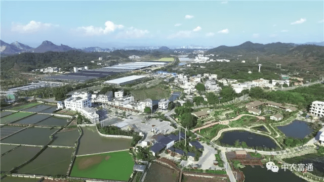 玉东新区建设最新进展，自然美景之旅，探寻内心宁静的胜地