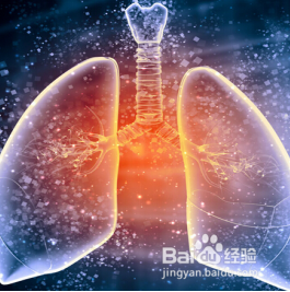 肺炎最新播报，全面指南助你了解与应对肺炎疫情！