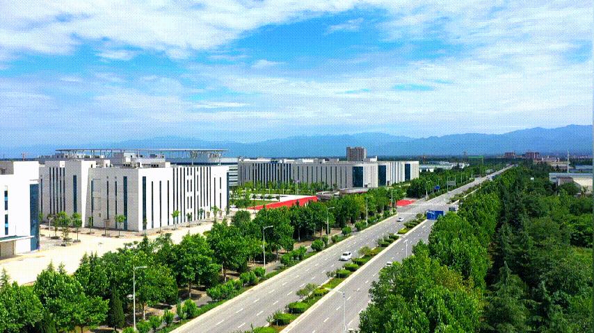 科技重塑生活，探索最新种子搜索奥秘，开启未来种子之旅