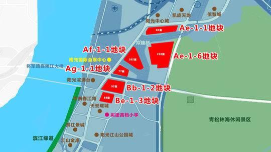 南充最新公示信息更新