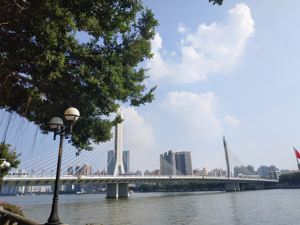 广州最新视频，自然美景之旅，探寻内心平和之乐