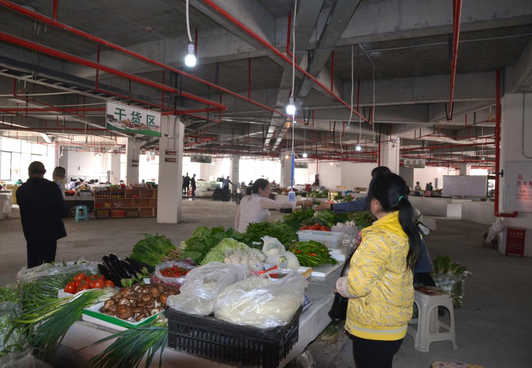 大地熊最新详细指南，完成任务的步骤与技能学习秘籍