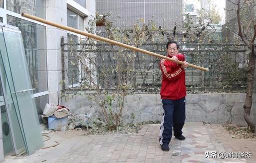 探寻传统武术的魅力与价值，最新免费传武资源分享